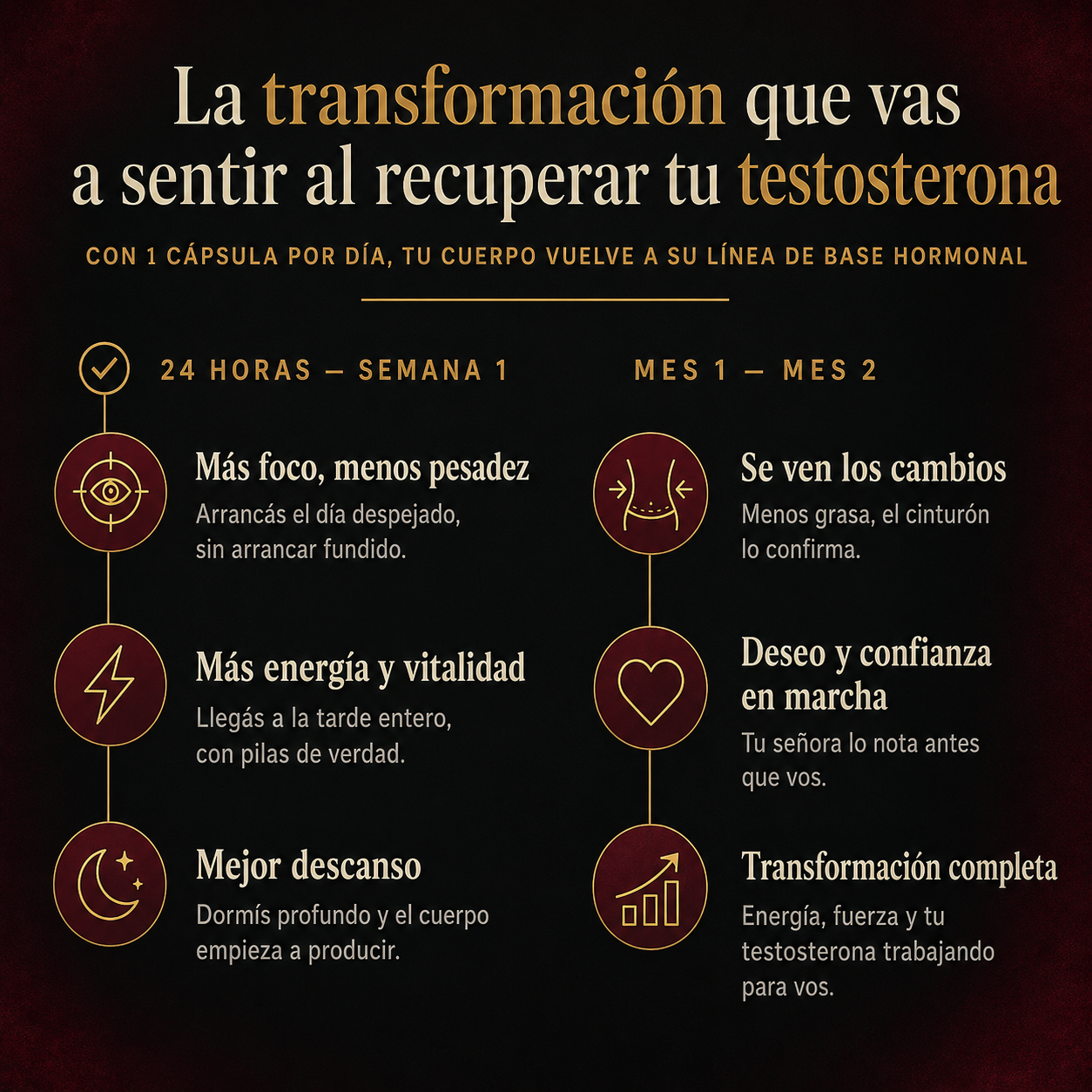 TESTOFORTE® — Recuperá tu testosterona y tu cuerpo masculino